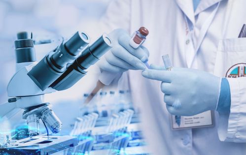 深圳食品接觸材料食品盛放器具lfgb食品級檢測