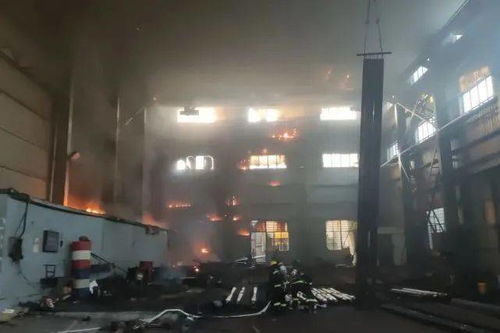 警示 浙江一廠房著火,節后復工消防安全不可大意