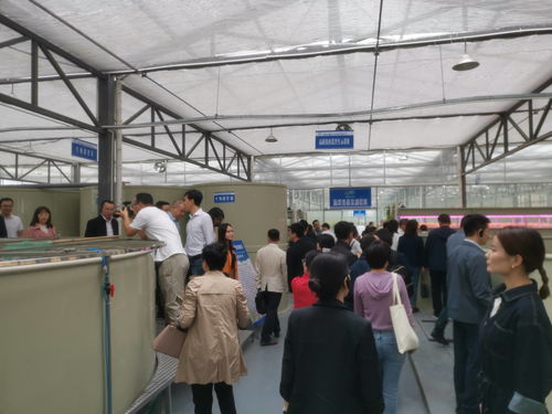 浙江省委黨校中青年干部培訓班的學員蒞臨德清百源康魚菜工廠交流指導